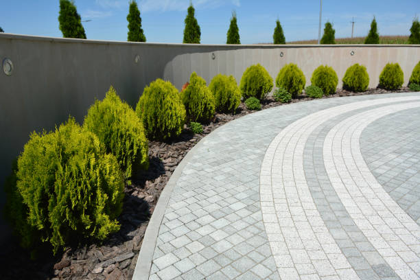Best Driveway Paving Contractor  in Nixon, PA